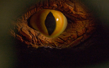 Wb 07 Kw 26 2008 Nr 400