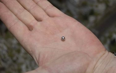 Wb 07 Kw 46 2008 Nr 420