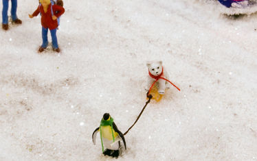 Wb 08 Kw 49 2008 Nr 423