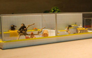 Wb 01 Kw 5 2009 Nr 431