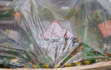 Wb 03 Kw 07 2010 Nr 486