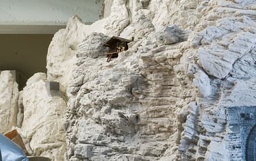 Wb 07 Kw 11 2010 Nr 490