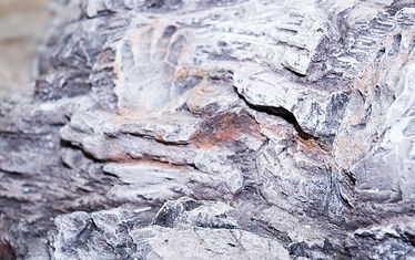 Wb 04 Kw 20 2010 Nr 499