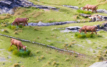 Wb 07 Kw 29 2010 Nr 508