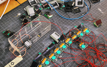 Wb 03 Kw 38 2010 Nr 517