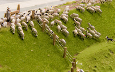 Wb 12 Kw 41 2010 Nr 520