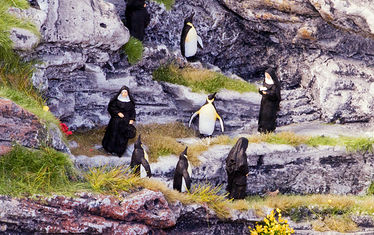 Wb 10 Kw 47 2010 Nr 526