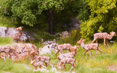 Wb 11 Kw 47 2010 Nr 526