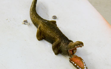 Wb 07 Kw 48 2010 Nr 527