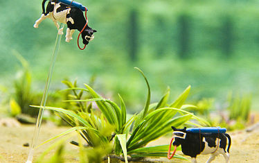 Wb 07 Kw 23 2011 Nr 554