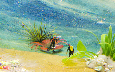 Wb 08 Kw 23 2011 Nr 554