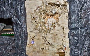 Wb 09 Kw 23 2011 Nr 554