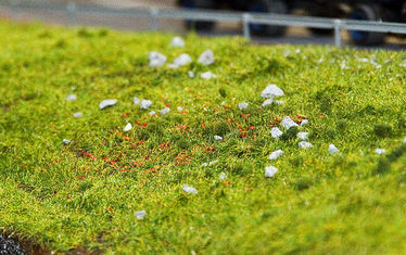 Wb 06 Kw 26 2011 Nr 557