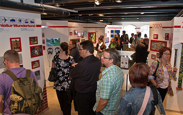 Wb 05 Kw 32 2011 Nr 563