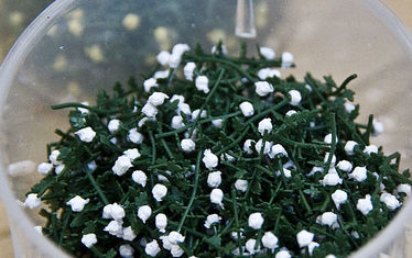 Wb 05 Kw 47 2011 Nr 578