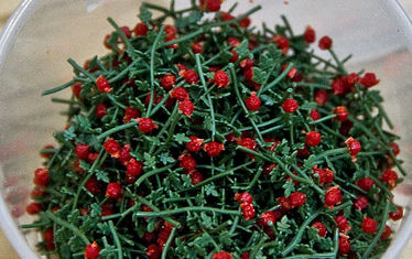 Wb 06 Kw 47 2011 Nr 578