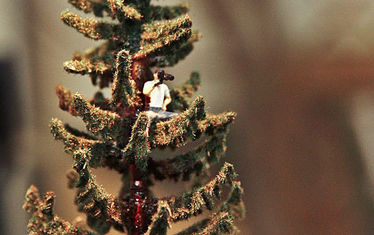 Wb 09 Kw 30 2012 Nr613