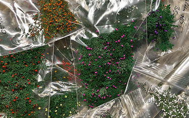 Wb 01 Kw 07 2013 Nr 642