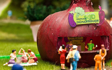 Wb 08 Kw 16 2013 Nr 651