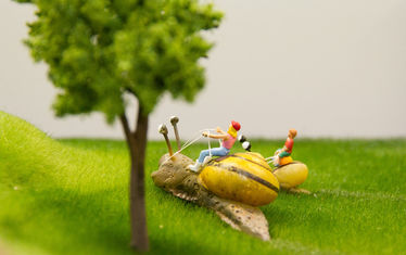 Wb 05 Kw 35 2013 Nr 670