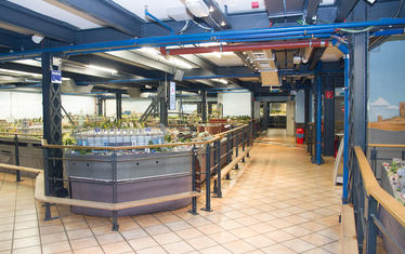 Wb 06 Kw 36 2013 Nr 671