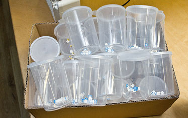 Wb 01 Kw 16 2015 Nr755