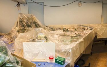 Wb 05 Kw 25 2015 Nr764