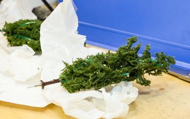 Wb 08 Kw 34 2015 Nr 773