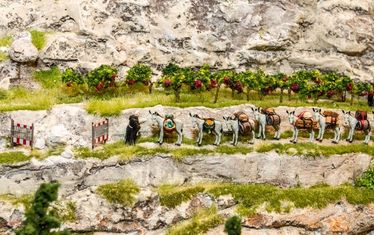 Wb 01 Kw 35 2015 Nr774