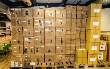 Wb 08 Kw 37 2015 Nr776