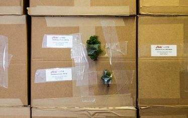 Wb 09 Kw 37 2015 Nr776