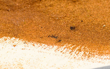 Wb 06 Kw 41 2015 Nr780