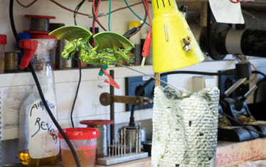 Wb 16 Kw 07 2016 Nr 799