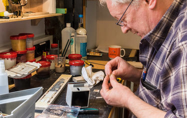 Wb 08 Kw 08 2016 Nr 800