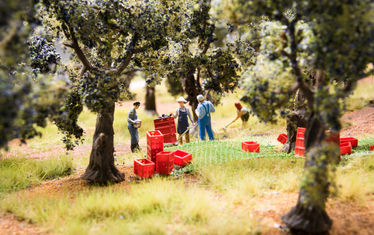 Wb 01 Kw 19 2016 Nr 811