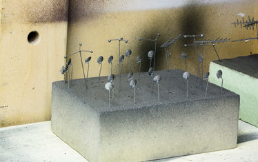 Wb 05 Kw 20 2016 Nr 812