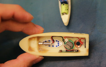 Wb 06 Kw 34 2017 Nr878