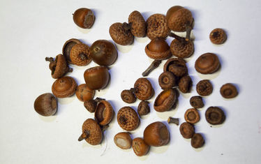 Wb 07 Kw 35 2017 Nr879