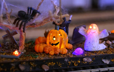 Wb 06 Kw 40 2017 Nr884