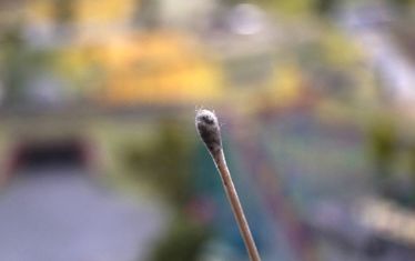 Wb 02 Kw 48 2017 Nr892