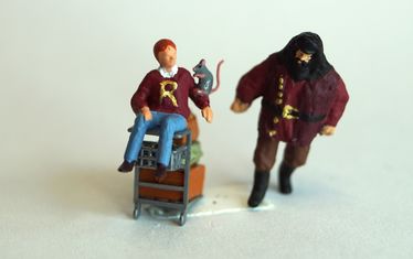 Wb 11 2018 Nr 910 Ron