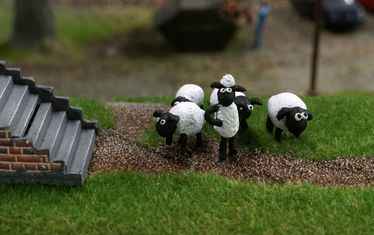 Wb 07 2018 Nr 916 Shawn