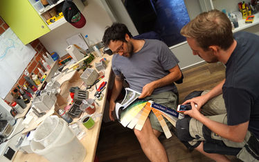 Wb 12 2018 Nr 917 Farbtests