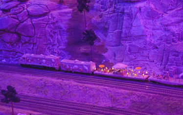 Wb 14 2018 Nr 917 Sommerzug