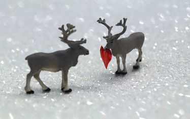 Wb 09 2018 Nr 918 Rentier In Love