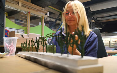 Wb 01 2018 Nr 933 Kakteen