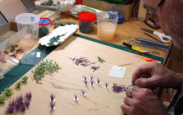 Wb 16 2018 Nr 935 Bobby