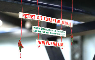 Wb 10 2018  Nr 937  Elefanten