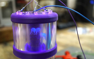 Wb 10 2018  Nr 945  Quallen