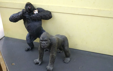 Wb 12 2018  Nr 947  King Kong